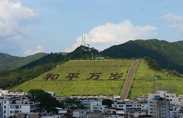 2020年广东省河源市【和平县】成人高考预报名时间(图1)