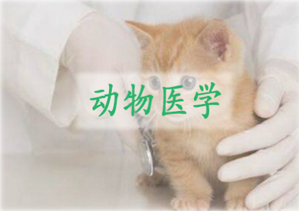 动物医学专业-广东海洋大学