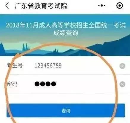 广东茂名市2019年成考录取结果查询流程与方式文章中的查询操作