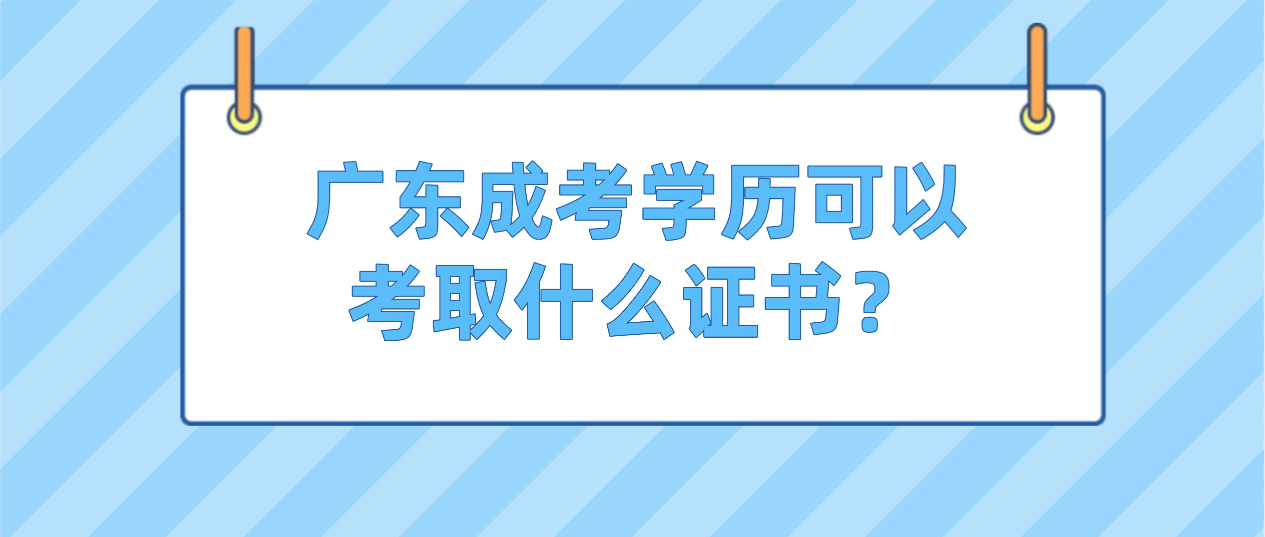 广东成考学历可以考取什么证书？